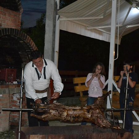 Pensiunea Moldova Piatra Neamţ Exteriér fotografie