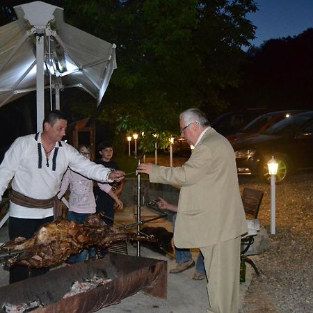 Pensiunea Moldova Piatra Neamţ Exteriér fotografie