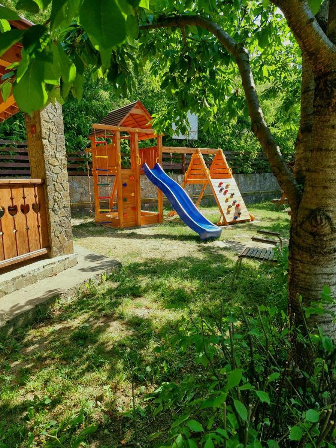 Pensiunea Moldova Piatra Neamţ Exteriér fotografie